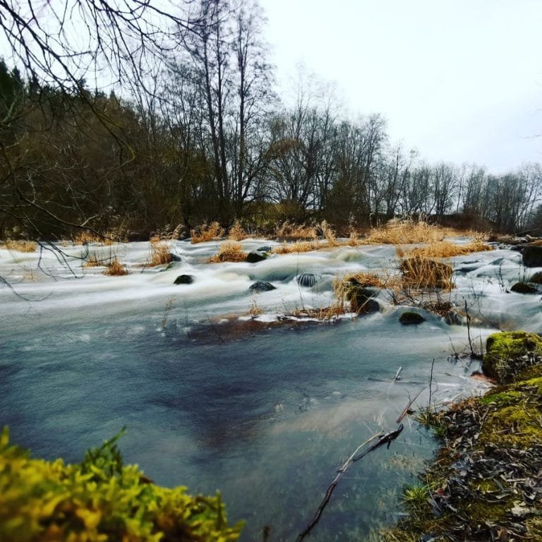 Kaimo turizmo sodyba Senas malūnas